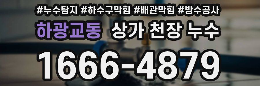 하광교동 상가 천장 누수