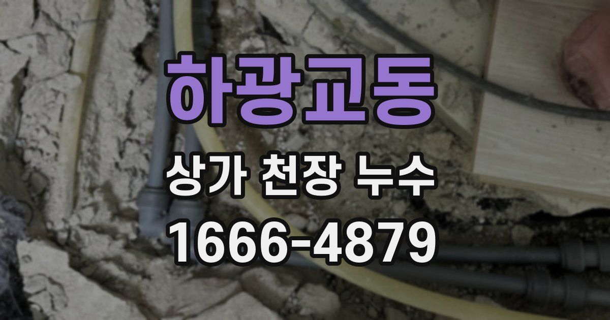 하광교동 상가 천장 누수