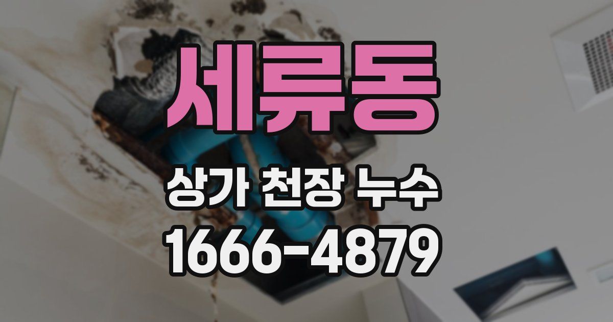 세류동 상가 천장 누수