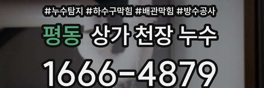 평동 상가 천장 누수