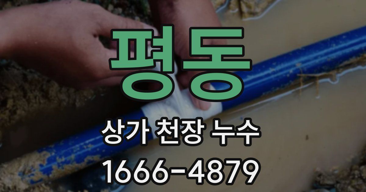 평동 상가 천장 누수