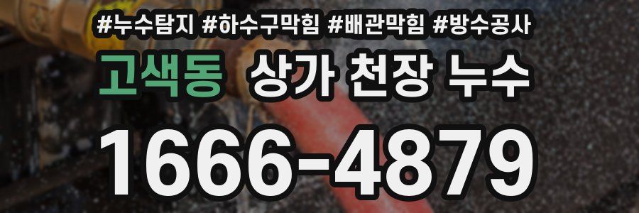 고색동 상가 천장 누수