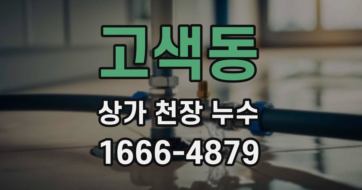 고색동 상가 천장 누수