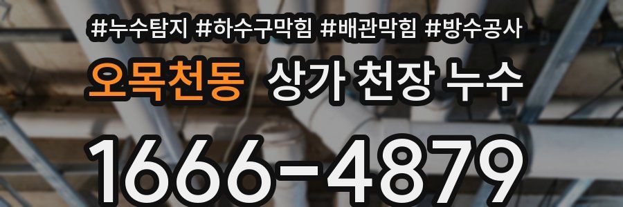 오목천동 상가 천장 누수