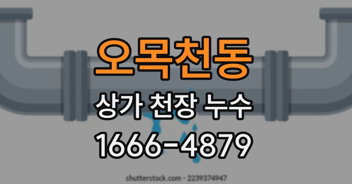 오목천동 상가 천장 누수