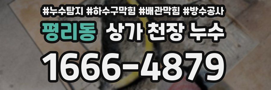 평리동 상가 천장 누수