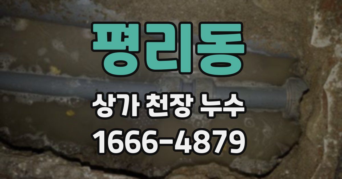평리동 상가 천장 누수