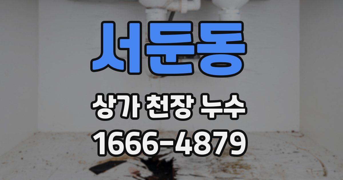 서둔동 상가 천장 누수