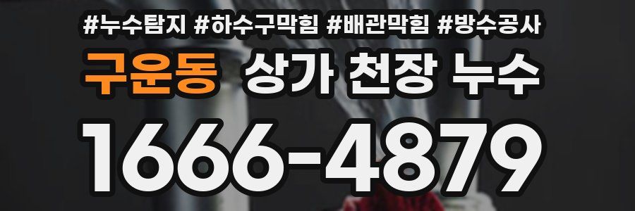 구운동 상가 천장 누수
