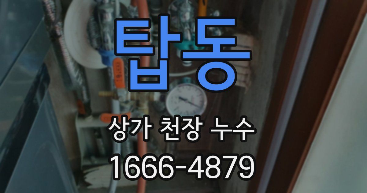 탑동 상가 천장 누수