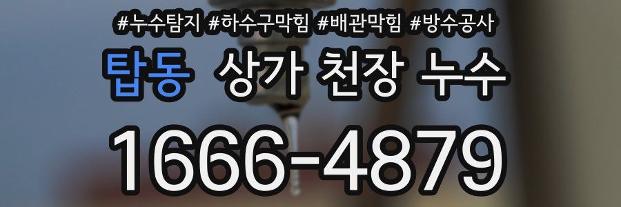 탑동 상가 천장 누수