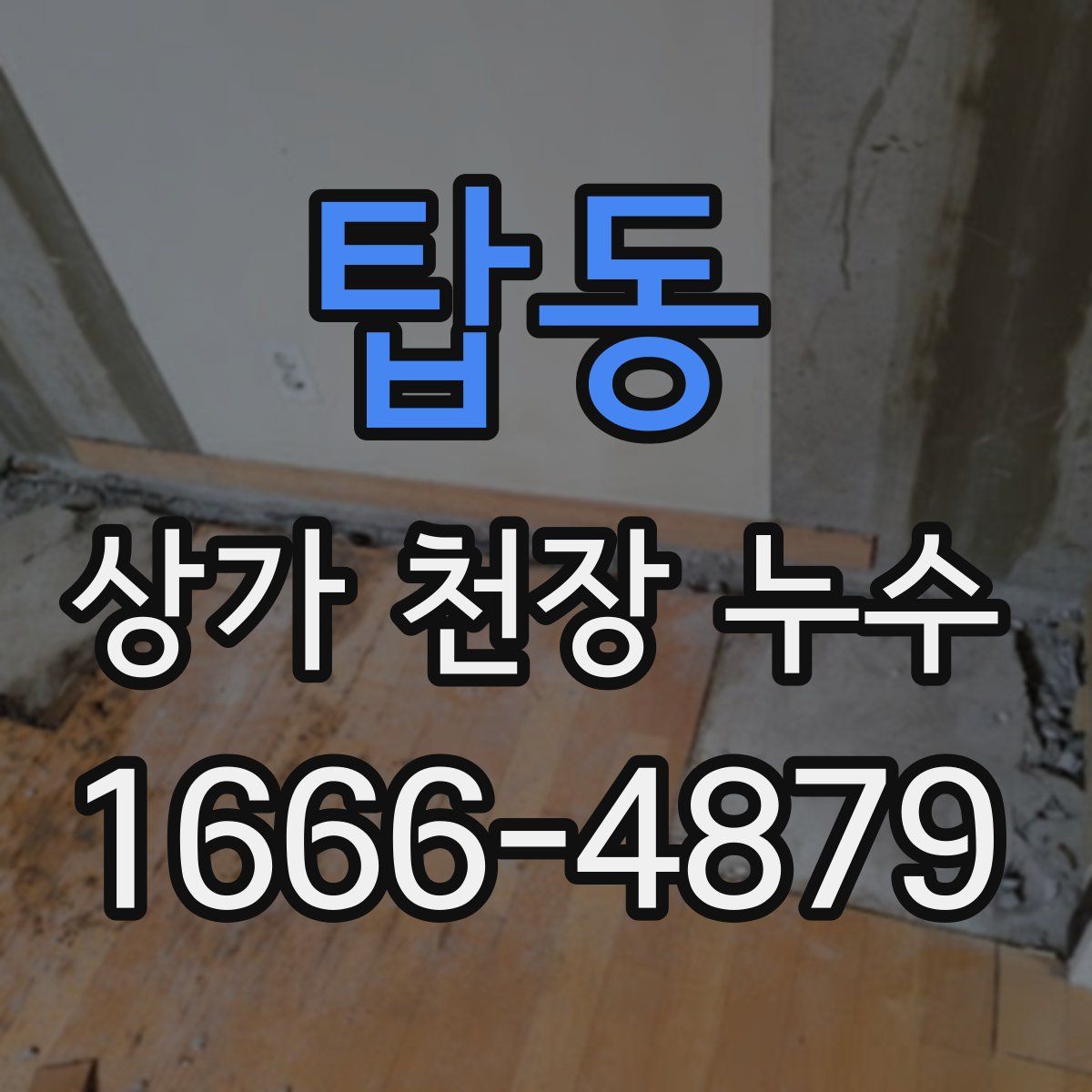 탑동 상가 천장 누수