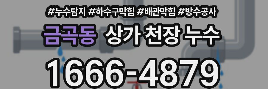 금곡동 상가 천장 누수