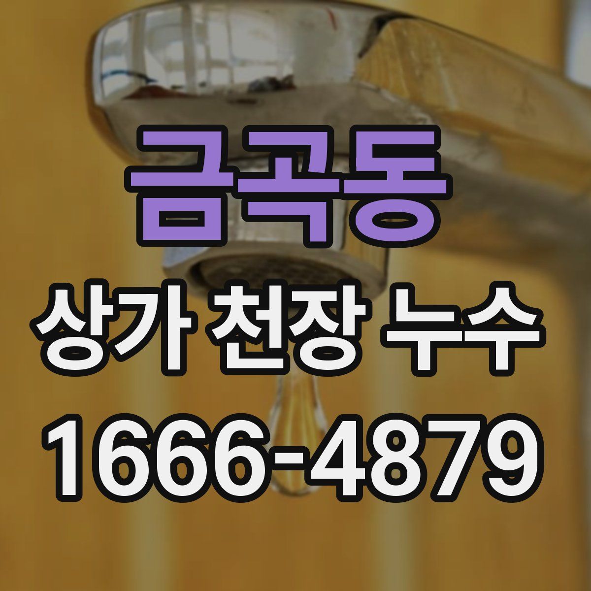 금곡동 상가 천장 누수