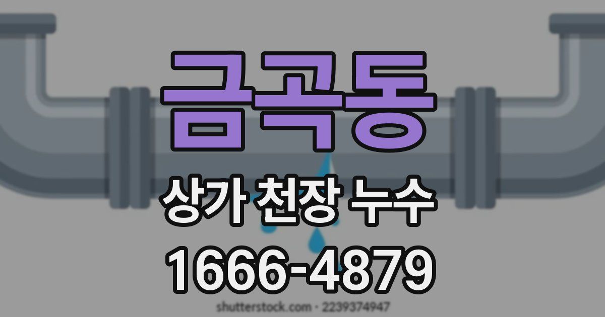 금곡동 상가 천장 누수
