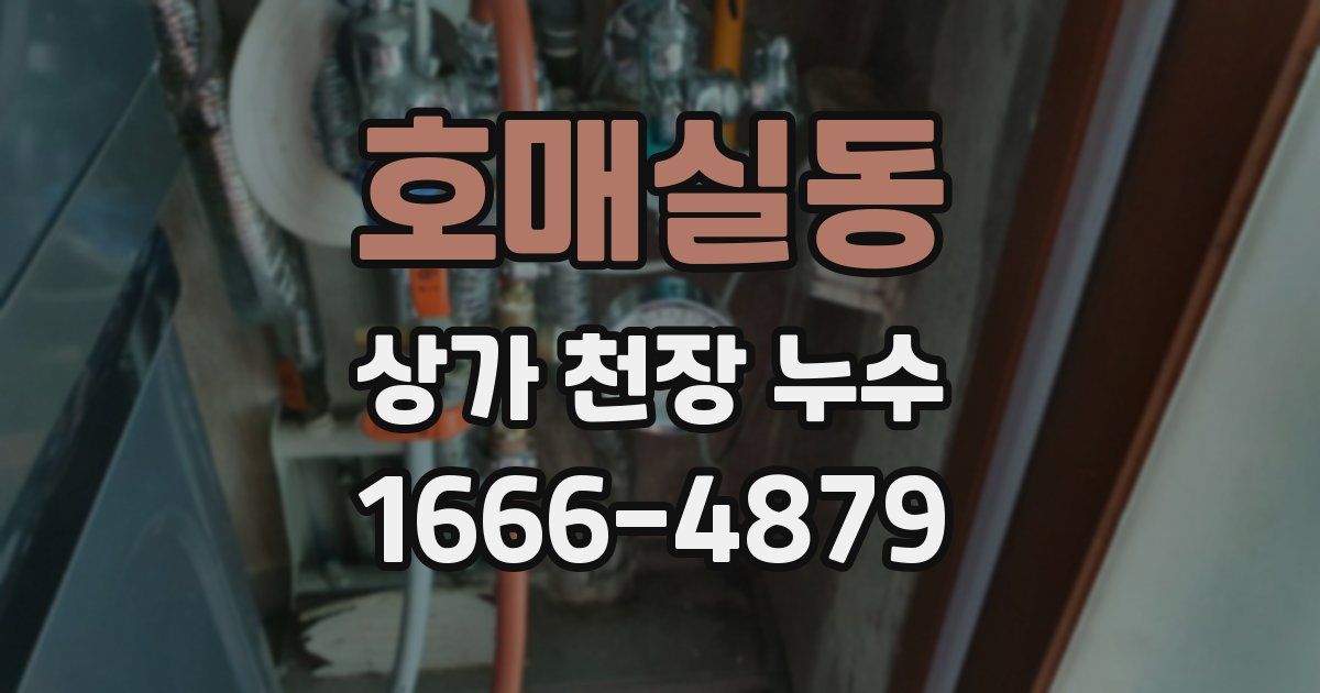 호매실동 상가 천장 누수