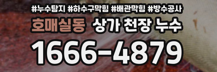 호매실동 상가 천장 누수