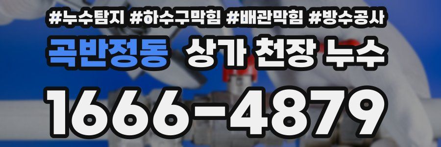 곡반정동 상가 천장 누수