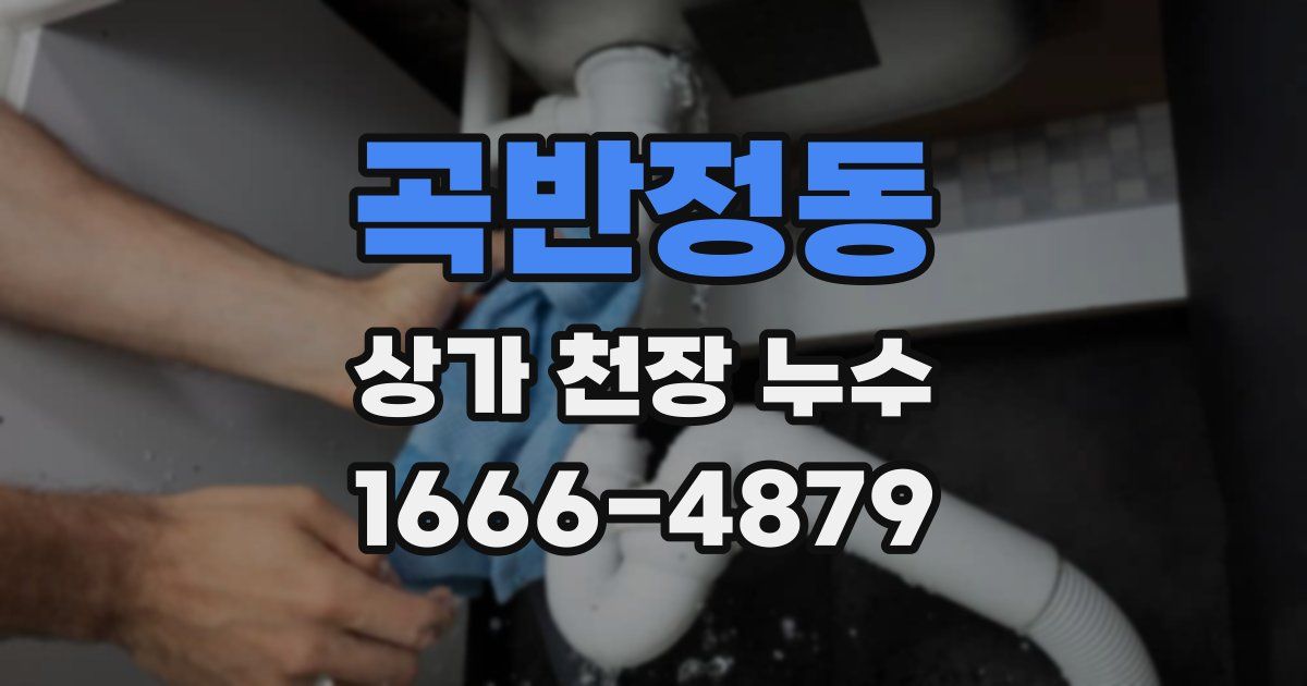 곡반정동 상가 천장 누수