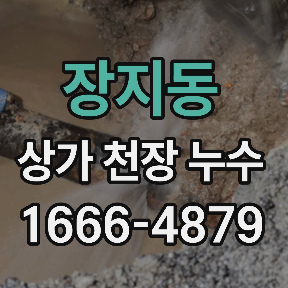 장지동 상가 천장 누수