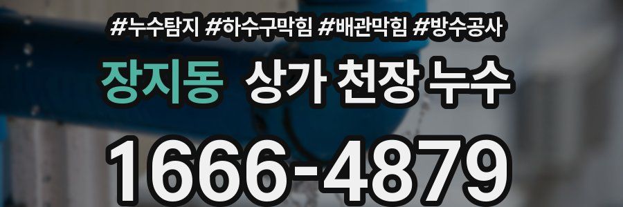 장지동 상가 천장 누수
