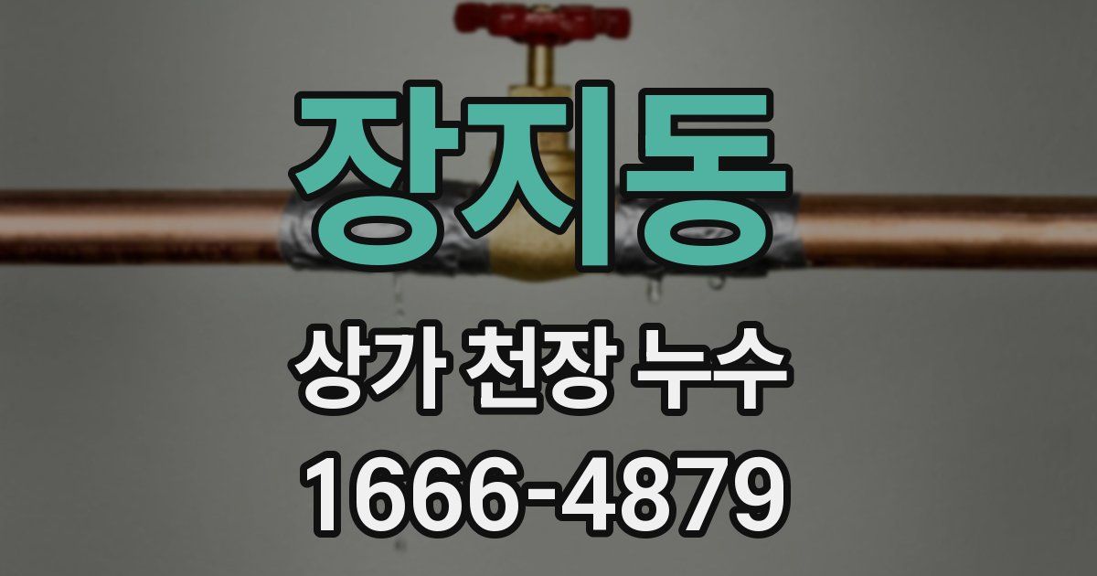 장지동 상가 천장 누수