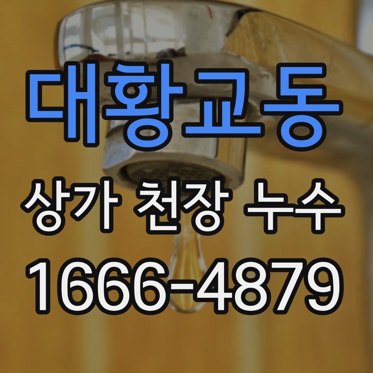대황교동 상가 천장 누수