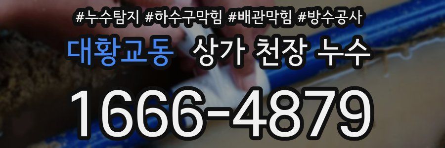 대황교동 상가 천장 누수