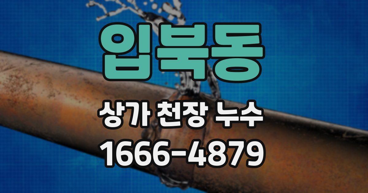 입북동 상가 천장 누수