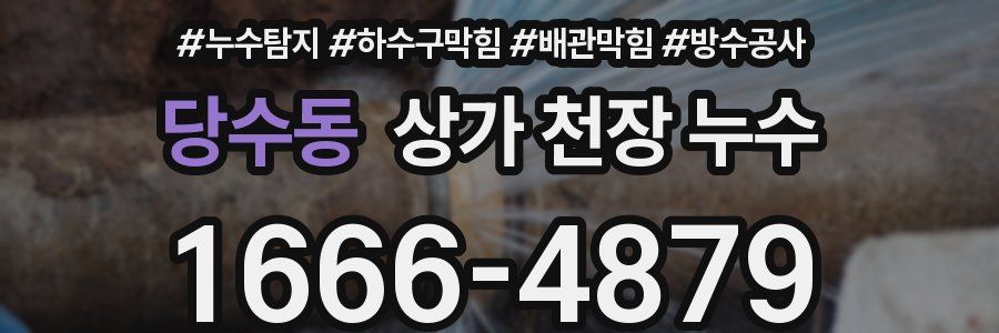 당수동 상가 천장 누수