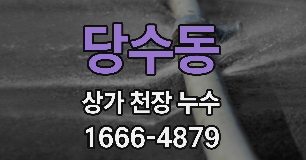 당수동 상가 천장 누수