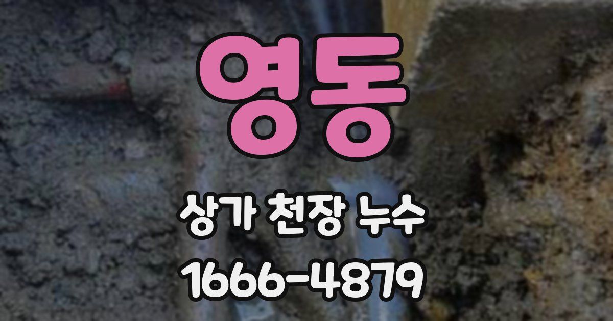 영동 상가 천장 누수