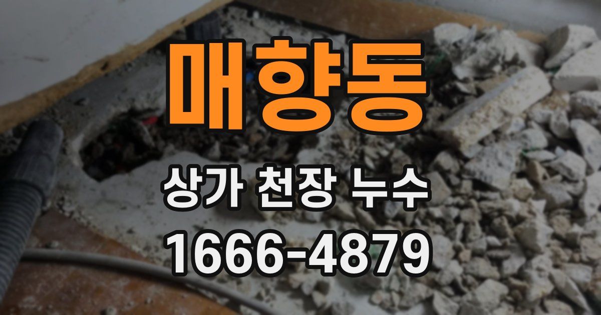 매향동 상가 천장 누수