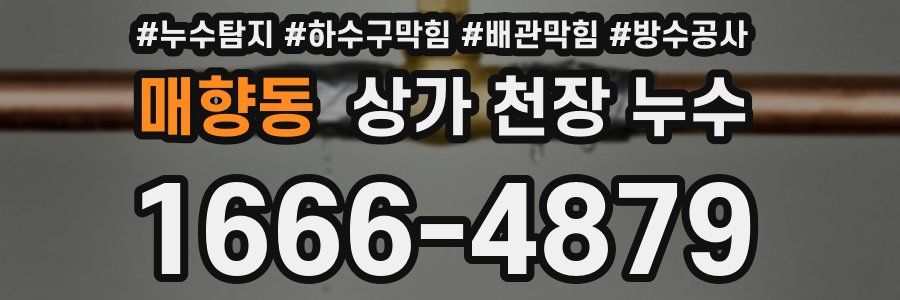 매향동 상가 천장 누수
