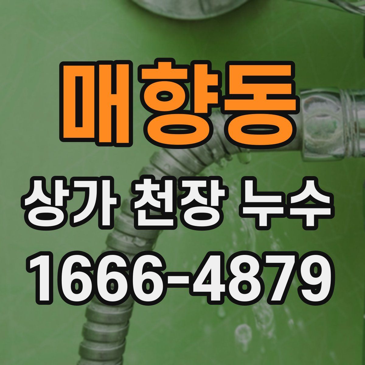 매향동 상가 천장 누수