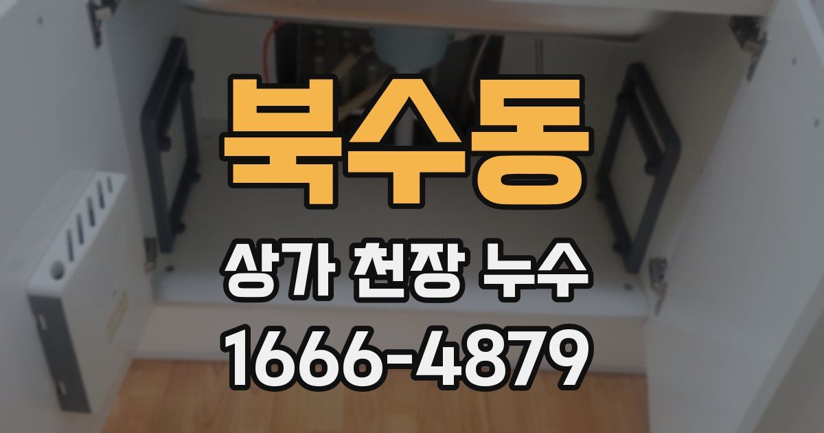 북수동 상가 천장 누수