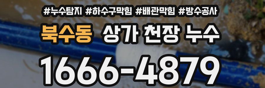 북수동 상가 천장 누수