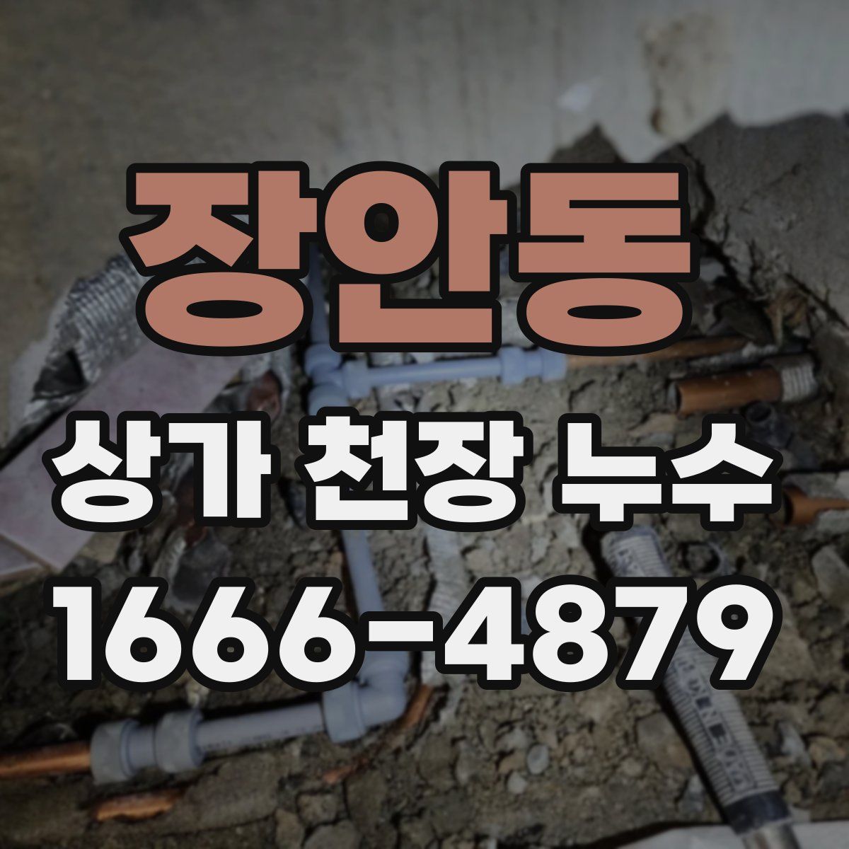 장안동 상가 천장 누수