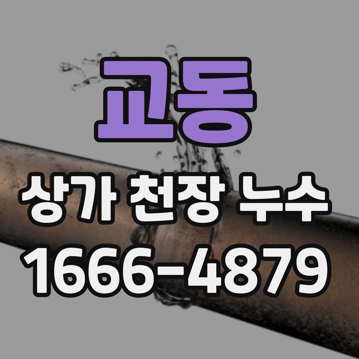 교동 상가 천장 누수