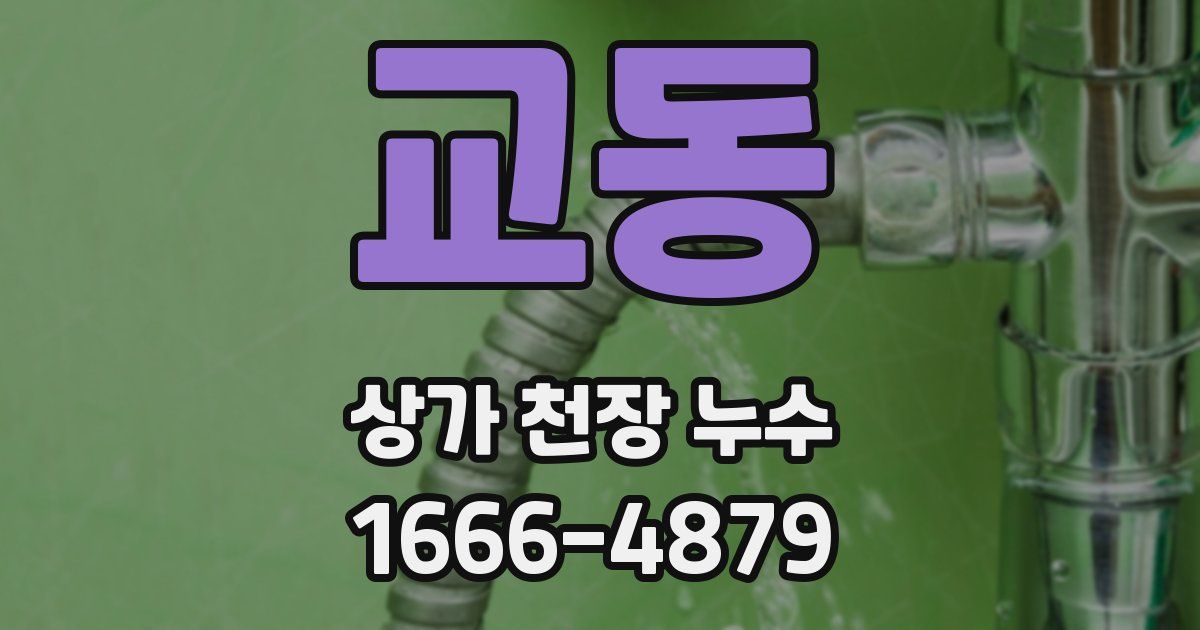 교동 상가 천장 누수