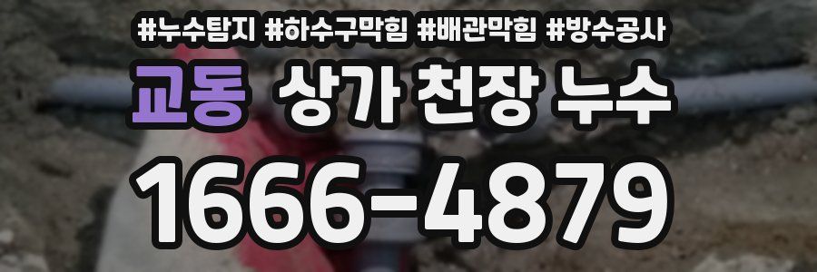 교동 상가 천장 누수