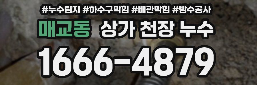 매교동 상가 천장 누수