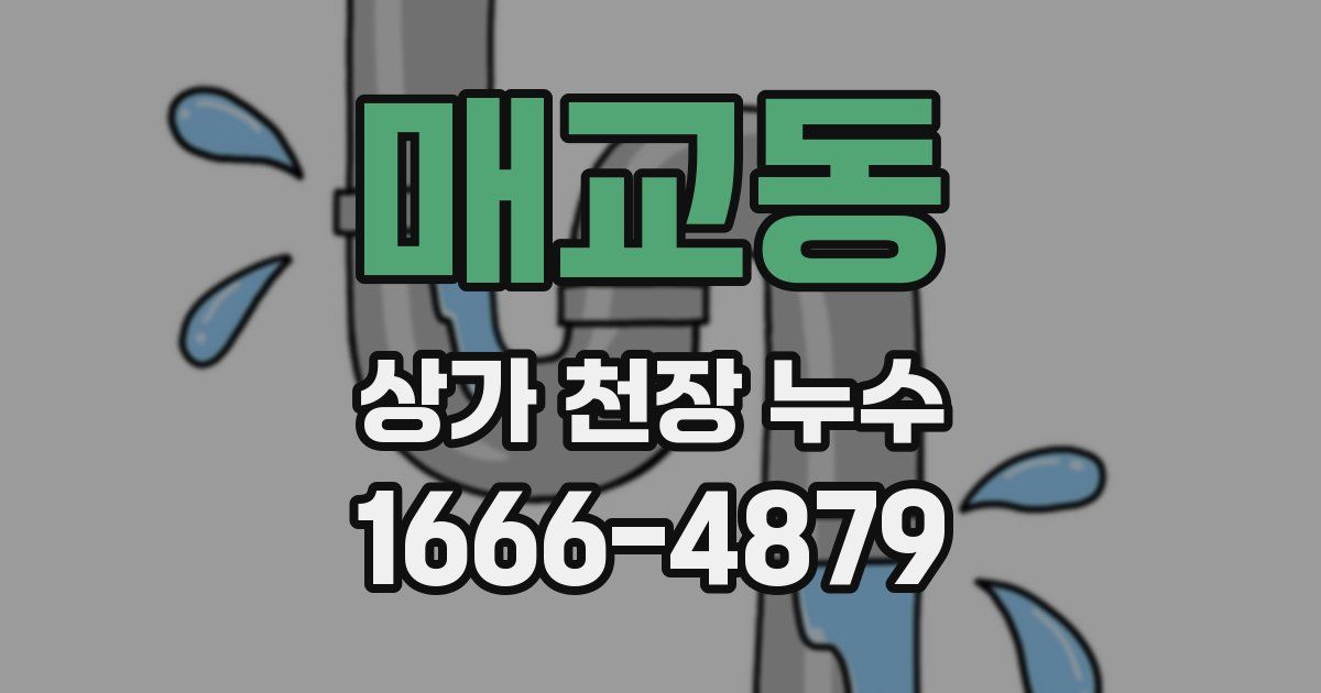 매교동 상가 천장 누수