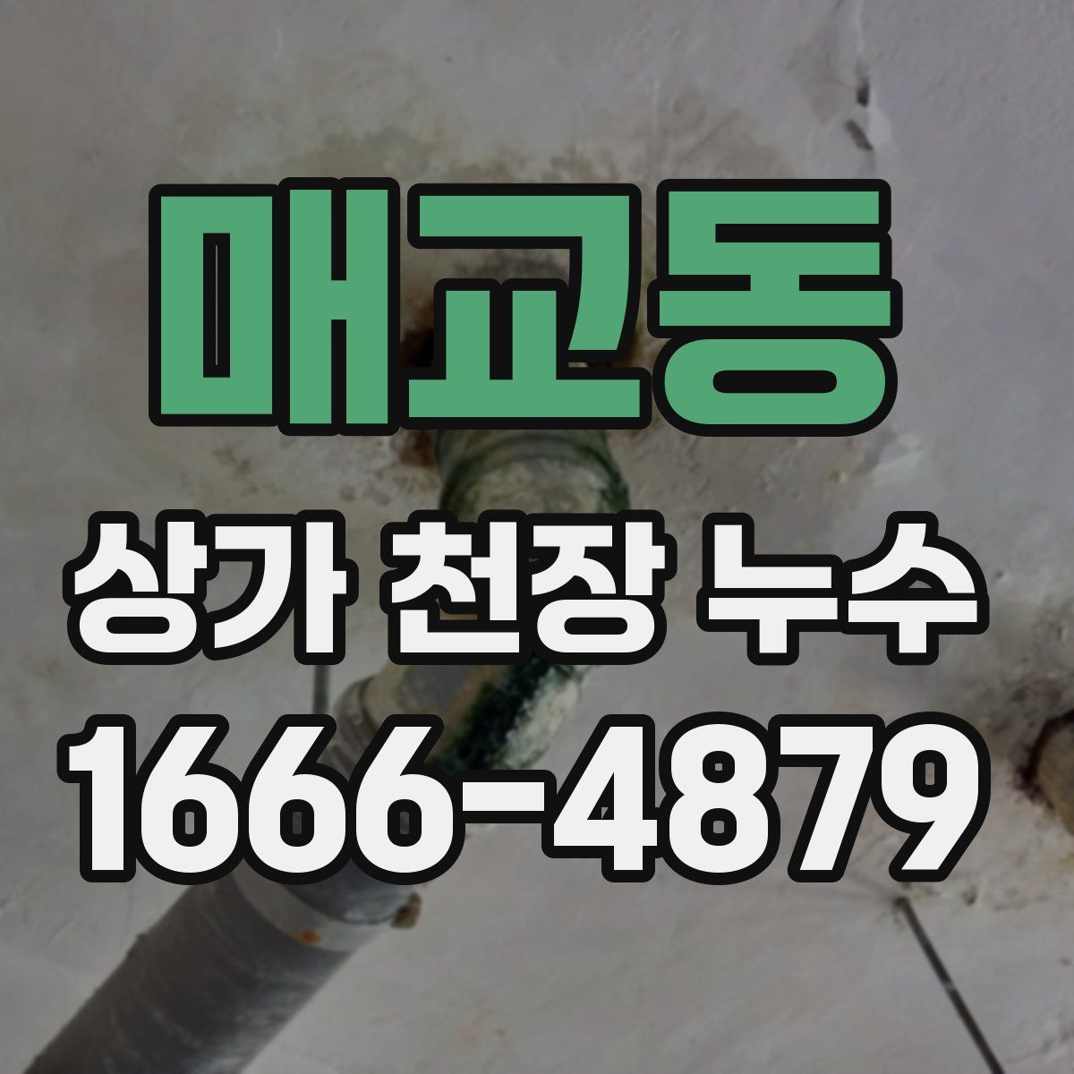매교동 상가 천장 누수