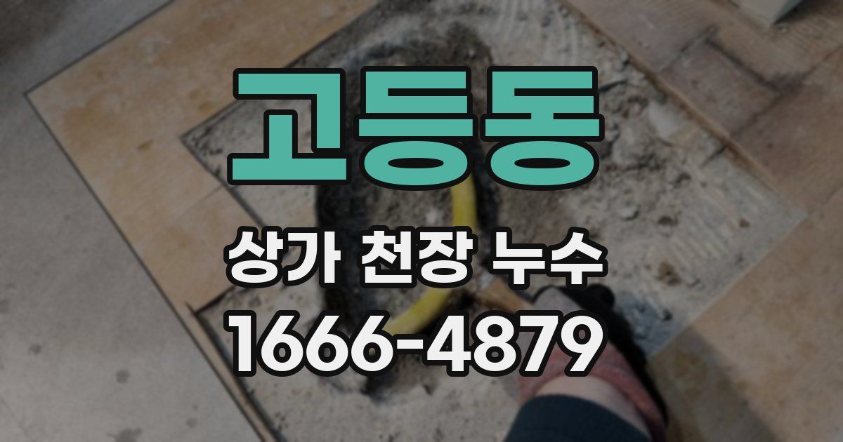 고등동 상가 천장 누수