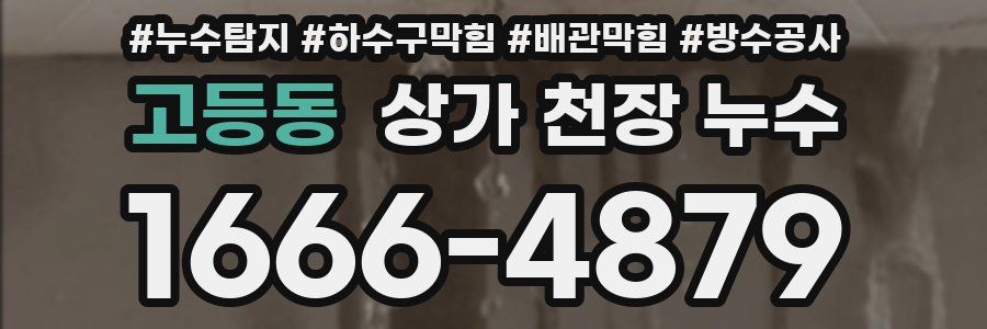 고등동 상가 천장 누수