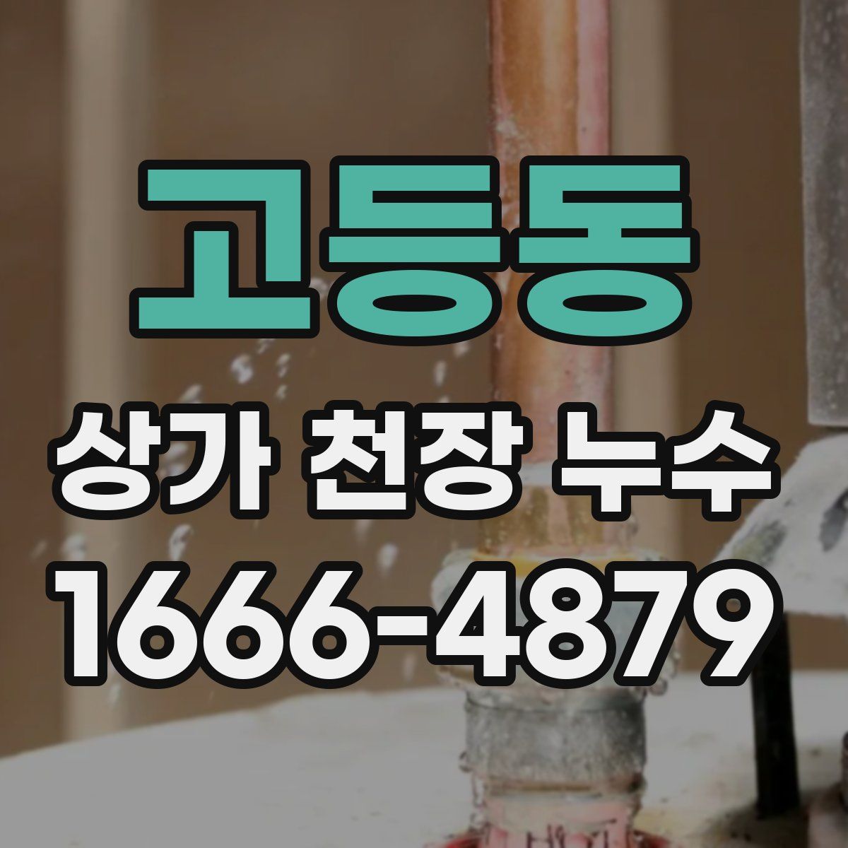 고등동 상가 천장 누수