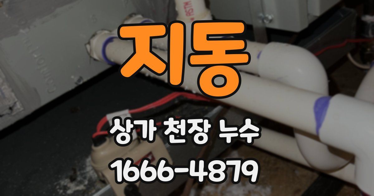 지동 상가 천장 누수