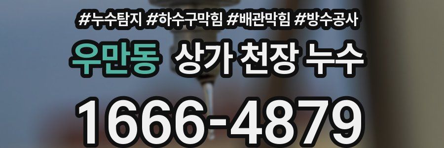 우만동 상가 천장 누수