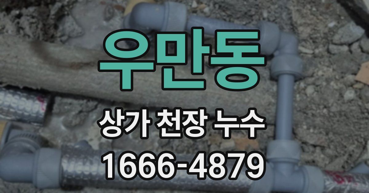 우만동 상가 천장 누수